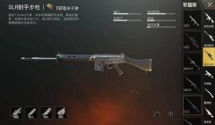 三角洲哪里显示射手步枪(三角洲行动里射手步枪在哪个界面?)